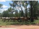 “MUTTABUN”, Lightning Ridge NSW 2834