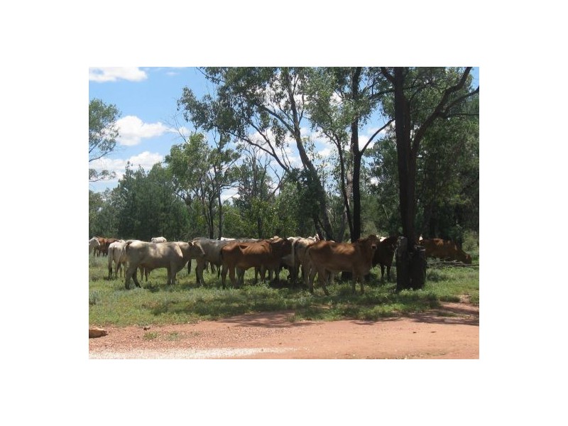 “MUTTABUN”, Lightning Ridge NSW 2834