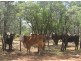 “MUTTABUN”, Lightning Ridge NSW 2834