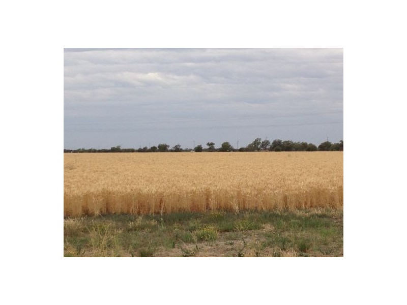 “BELMONT”, Walgett NSW 2832