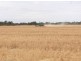 “BELMONT”, Walgett NSW 2832