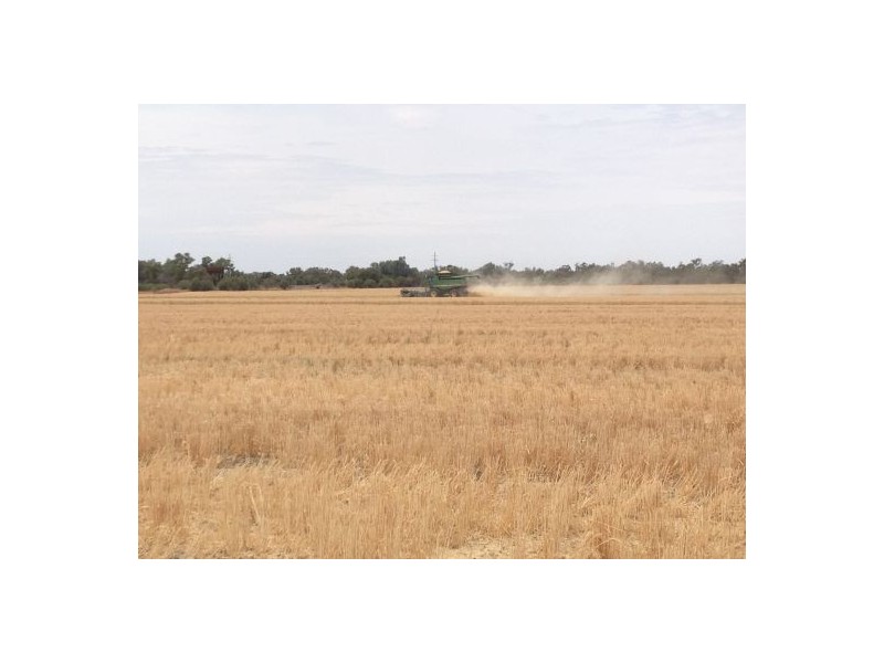 “BELMONT”, Walgett NSW 2832