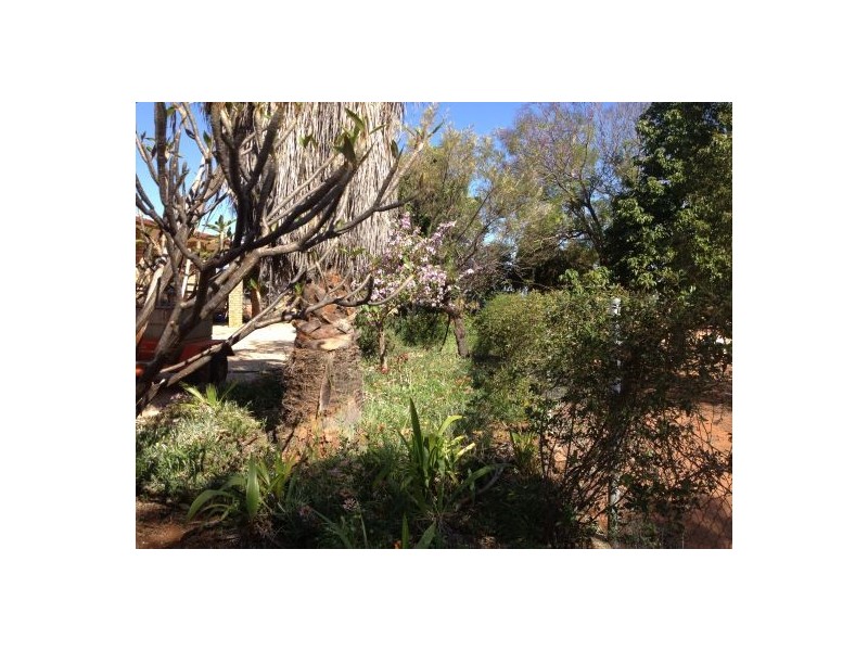 24 Walgett Street, Cumborah NSW 2832