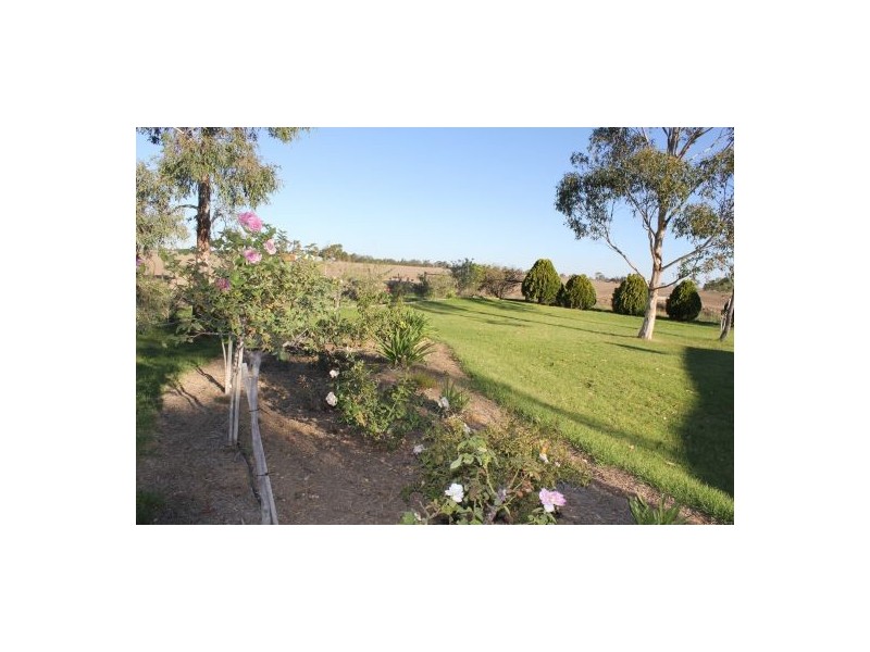 511 Come By Chance Road, Walgett NSW 2832