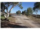 511 Come By Chance Road, Walgett NSW 2832