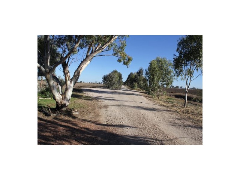 511 Come By Chance Road, Walgett NSW 2832