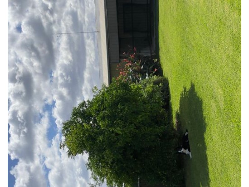 25 Namoi Street, Walgett NSW 2832