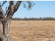 “BEEFWOOD DOWNS”, Walgett NSW 2832