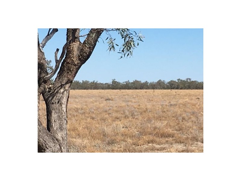 “BEEFWOOD DOWNS”, Walgett NSW 2832
