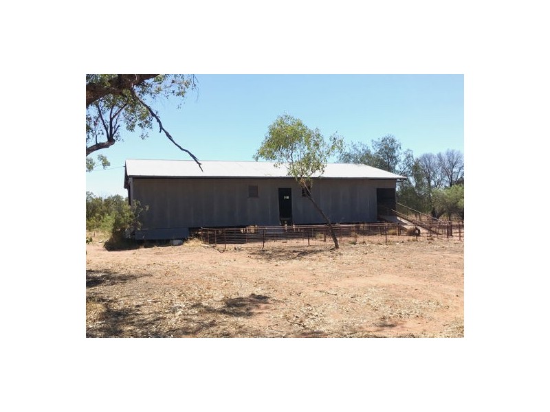 “BEEFWOOD DOWNS”, Walgett NSW 2832