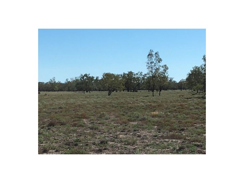 “BEEFWOOD DOWNS”, Walgett NSW 2832