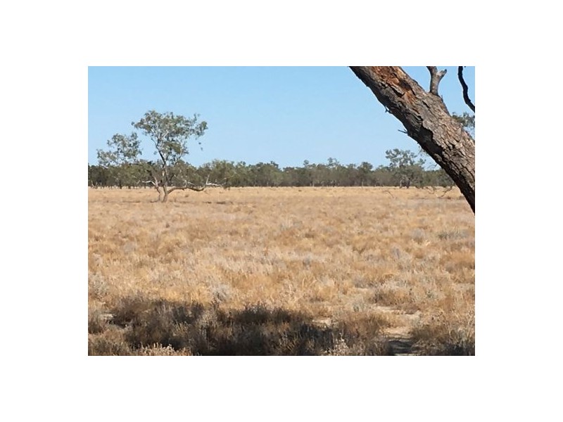 “BEEFWOOD DOWNS”, Walgett NSW 2832