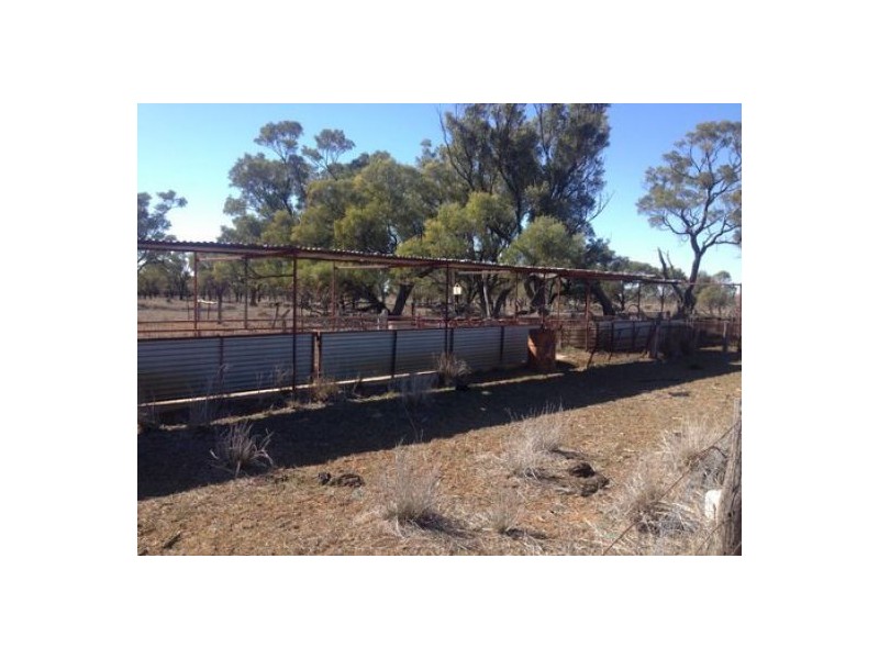 “BEEFWOOD DOWNS”, Walgett NSW 2832