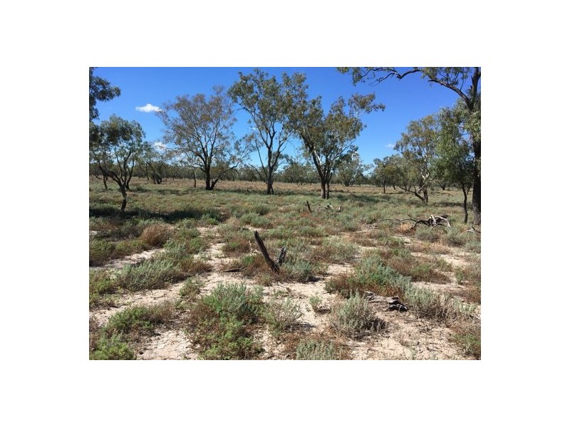 “BEEFWOOD DOWNS”, Walgett NSW 2832