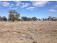 “BEEFWOOD DOWNS”, Walgett NSW 2832