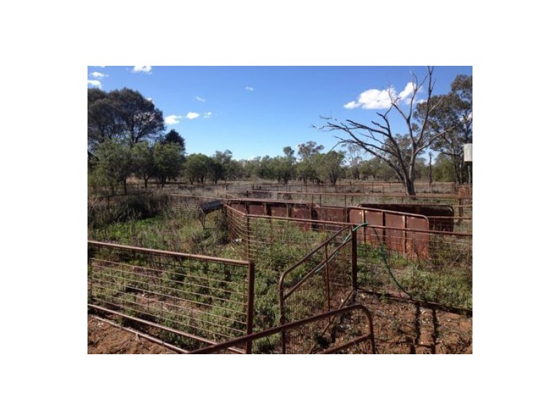 “BEEFWOOD DOWNS”, Walgett NSW 2832