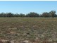 “BEEFWOOD DOWNS”, Walgett NSW 2832