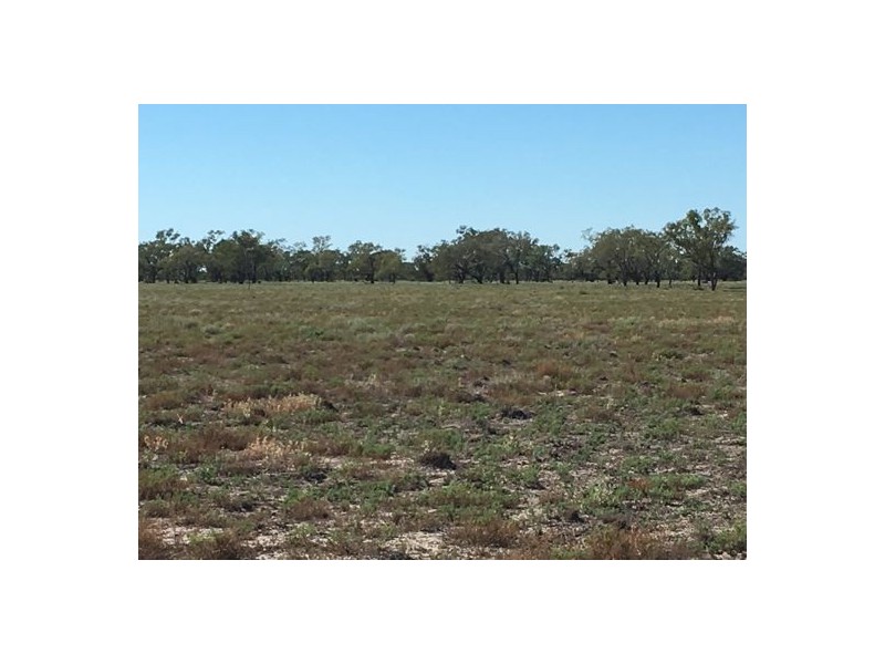 “BEEFWOOD DOWNS”, Walgett NSW 2832