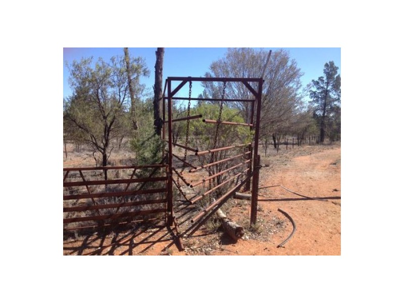 “BEEFWOOD DOWNS”, Walgett NSW 2832