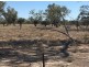“BEEFWOOD DOWNS”, Walgett NSW 2832