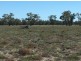 “BEEFWOOD DOWNS”, Walgett NSW 2832