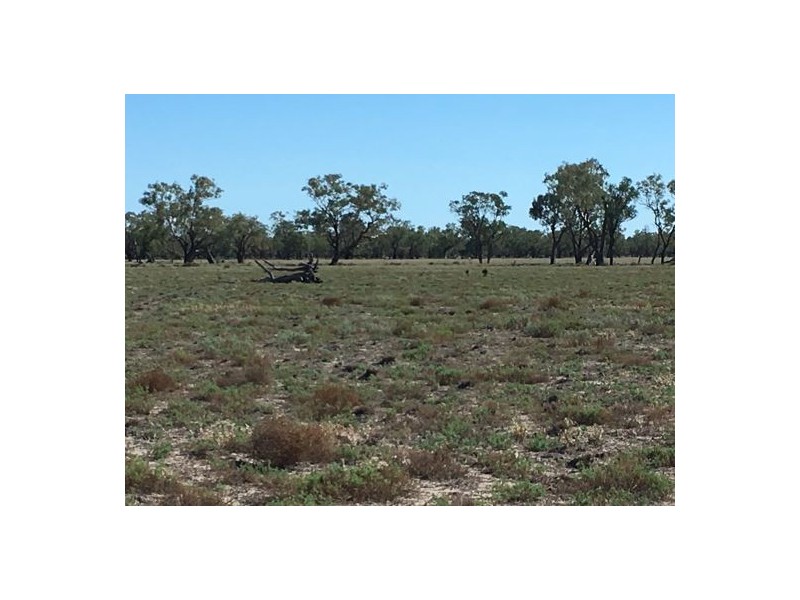 “BEEFWOOD DOWNS”, Walgett NSW 2832