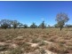 “BEEFWOOD DOWNS”, Walgett NSW 2832