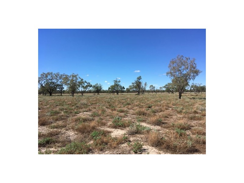 “BEEFWOOD DOWNS”, Walgett NSW 2832