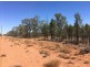 “BEEFWOOD DOWNS”, Walgett NSW 2832
