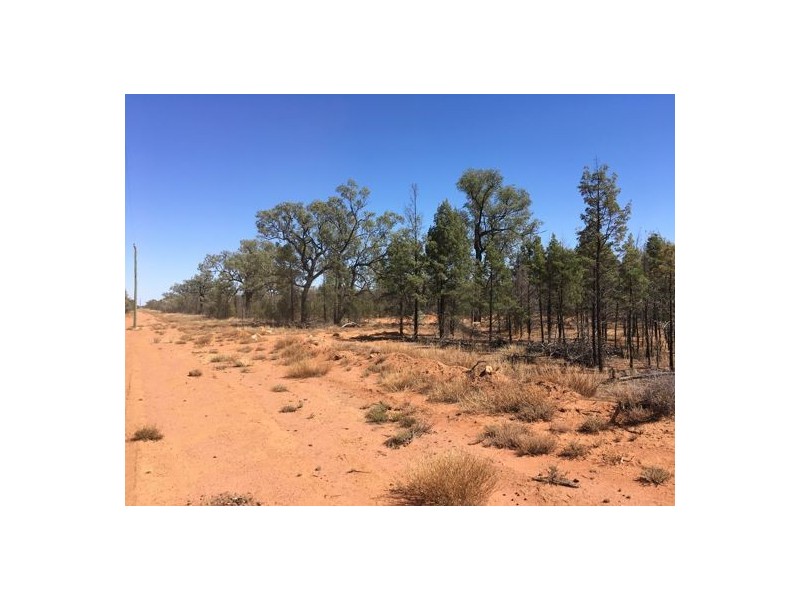 “BEEFWOOD DOWNS”, Walgett NSW 2832
