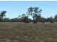 “BEEFWOOD DOWNS”, Walgett NSW 2832