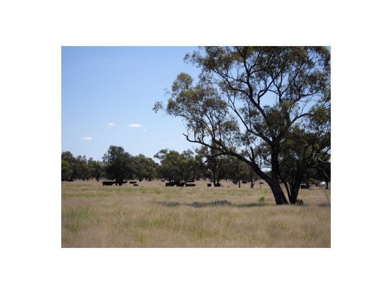 “OLD BOOROOMA”, Walgett NSW 2832