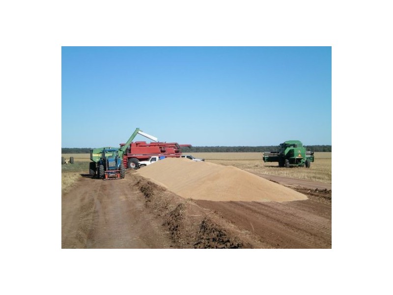 “OLD BOOROOMA”, Walgett NSW 2832