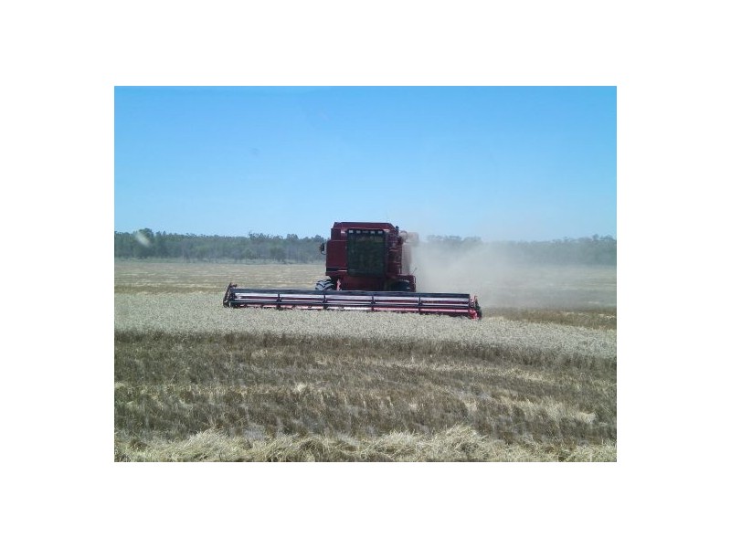 “OLD BOOROOMA”, Walgett NSW 2832