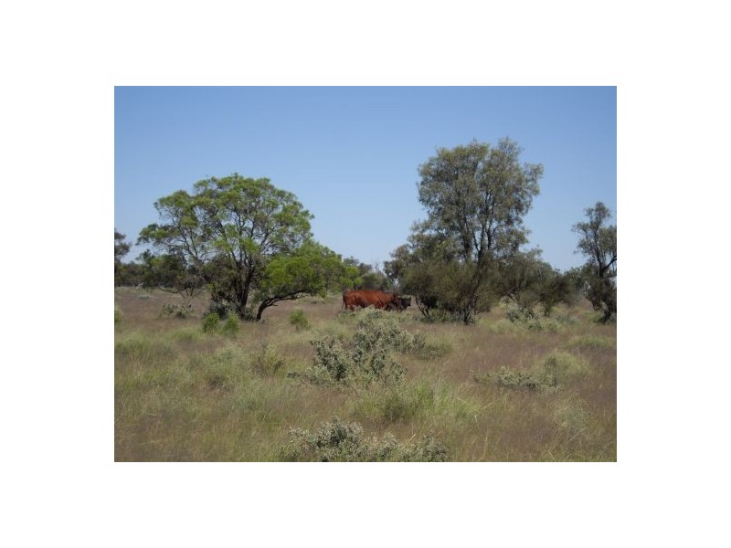 “OLD BOOROOMA”, Walgett NSW 2832