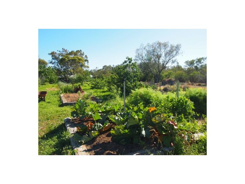 “Gowrie” Castlereagh Highway, Walgett NSW 2832