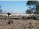 “WARRANILLA”, Brewarrina NSW 2839