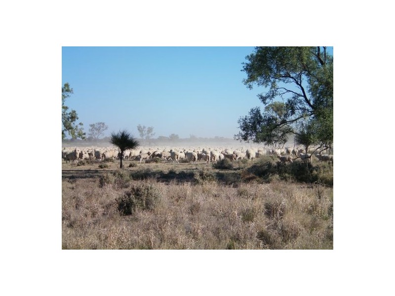 “WARRANILLA”, Brewarrina NSW 2839