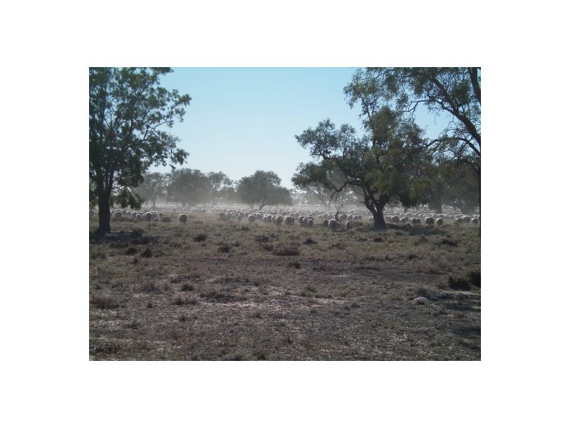 “WARRANILLA”, Brewarrina NSW 2839