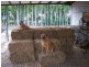 670 – Lot 7 Strangways Rd, Humpty Doo NT 0836