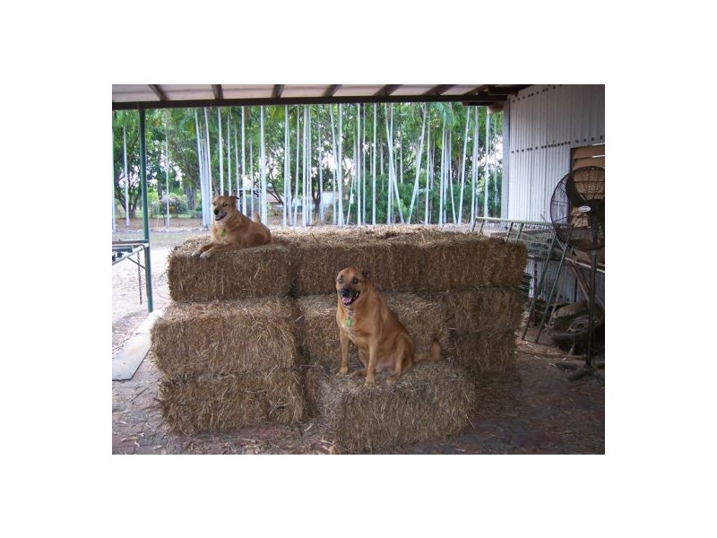 670 – Lot 7 Strangways Rd, Humpty Doo NT 0836