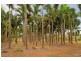 670 – Lot 7 Strangways Rd, Humpty Doo NT 0836
