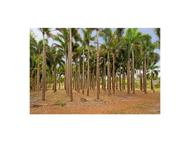 670 – Lot 7 Strangways Rd, Humpty Doo NT 0836