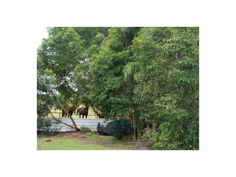20 Fitzgerald Rd, Howard Springs NT 0835