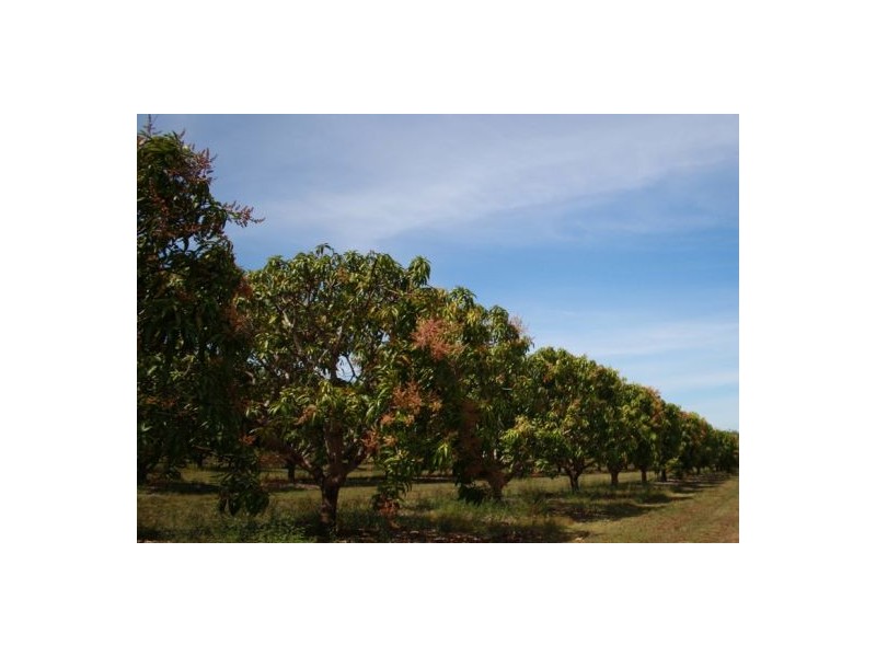 80 Buckley Rd, Lambells Lagoon NT 0822