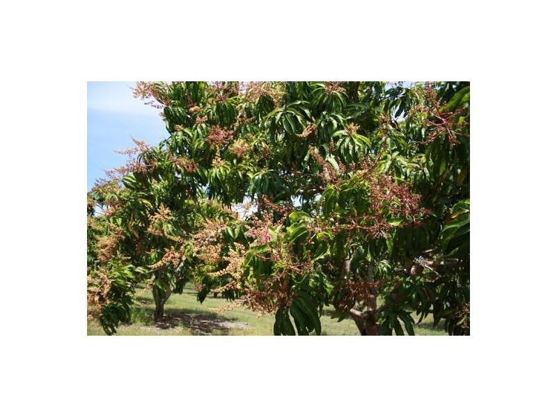 2180 Arnhem Highway, Lambells Lagoon NT 0822