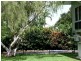 12 ELLENGOWAN DR, Nakara NT 0810