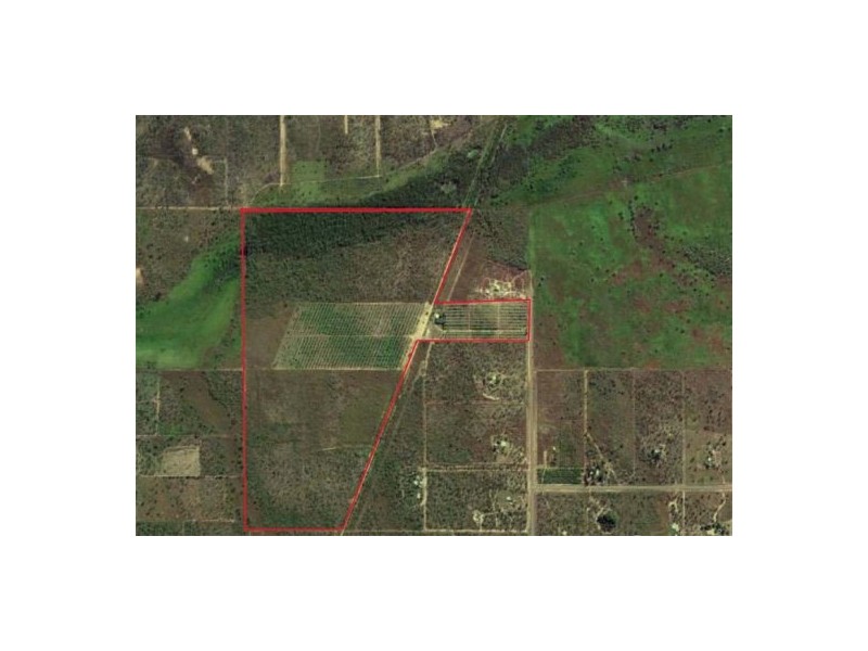 265 Blyth Rd, Berry Springs NT 0838