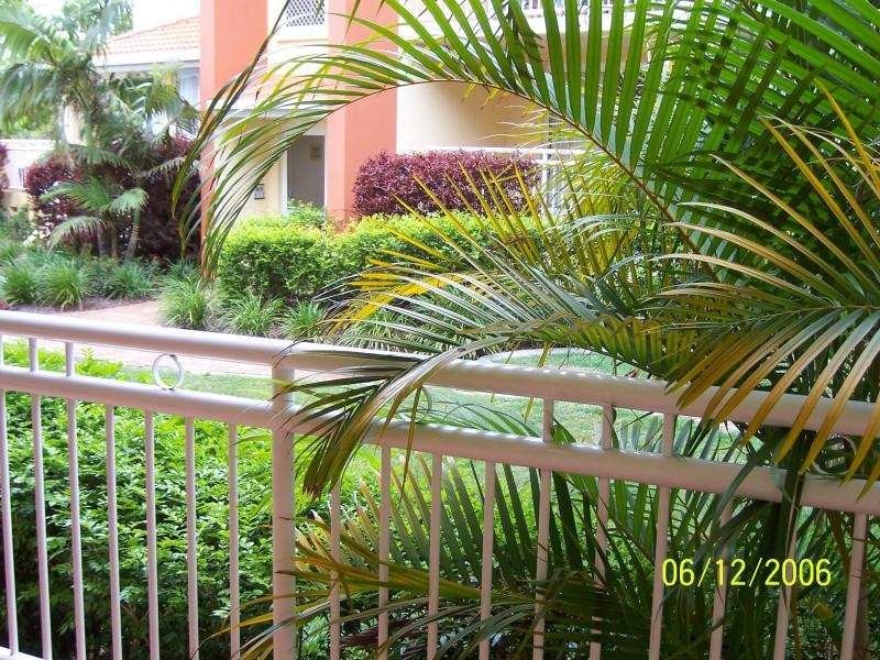 2/12 Douglas Street, Kirra QLD 4225