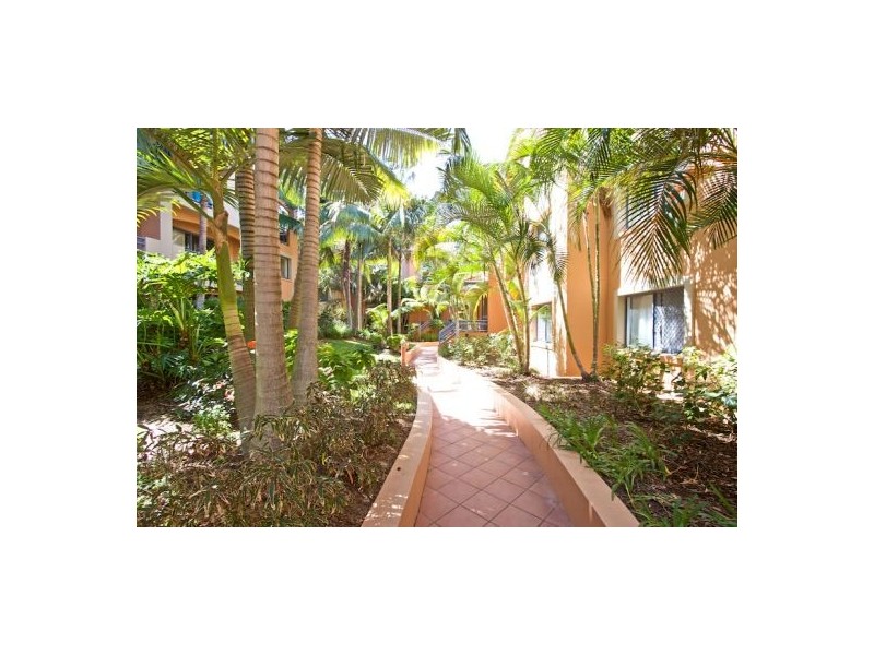 35/5 Hill St, Rainbow Bay QLD 4225